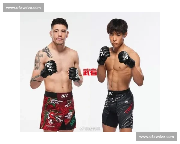 UFC 铁汉巴博萨：逆境中的终极反击